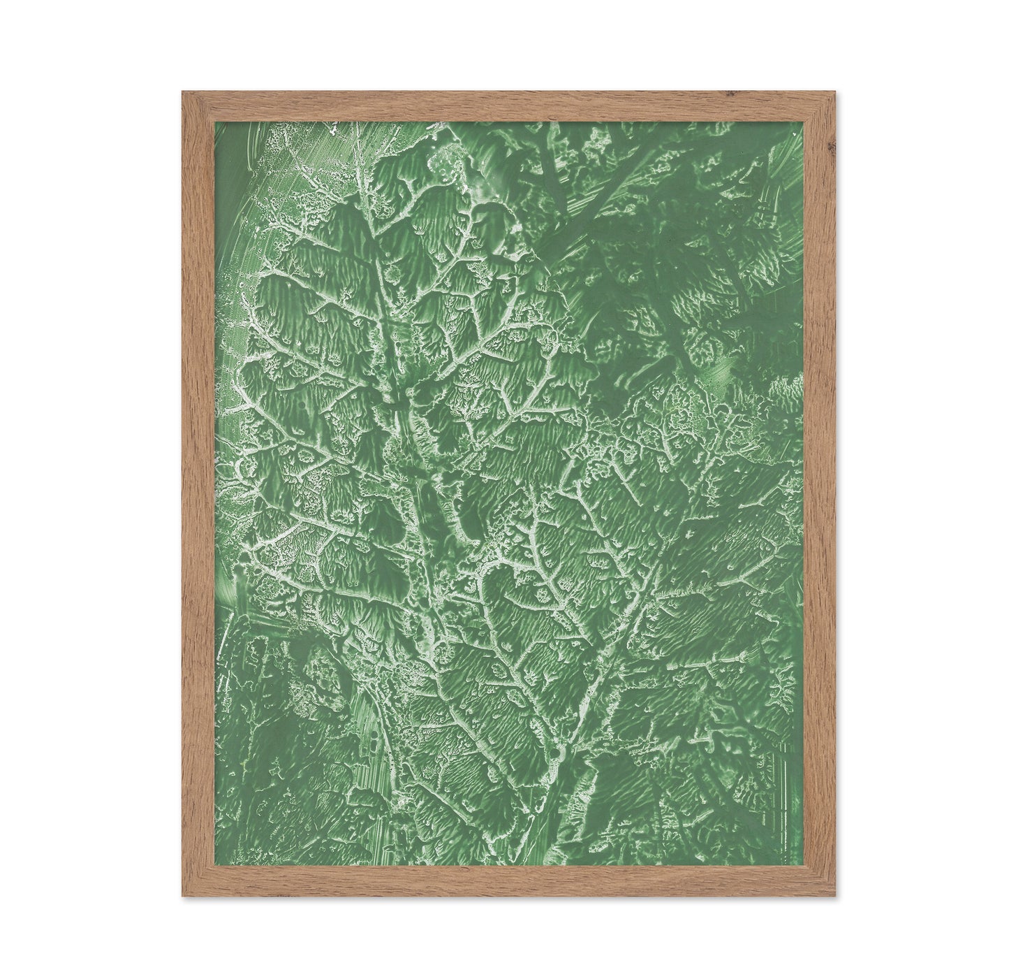 Green Vein Texture