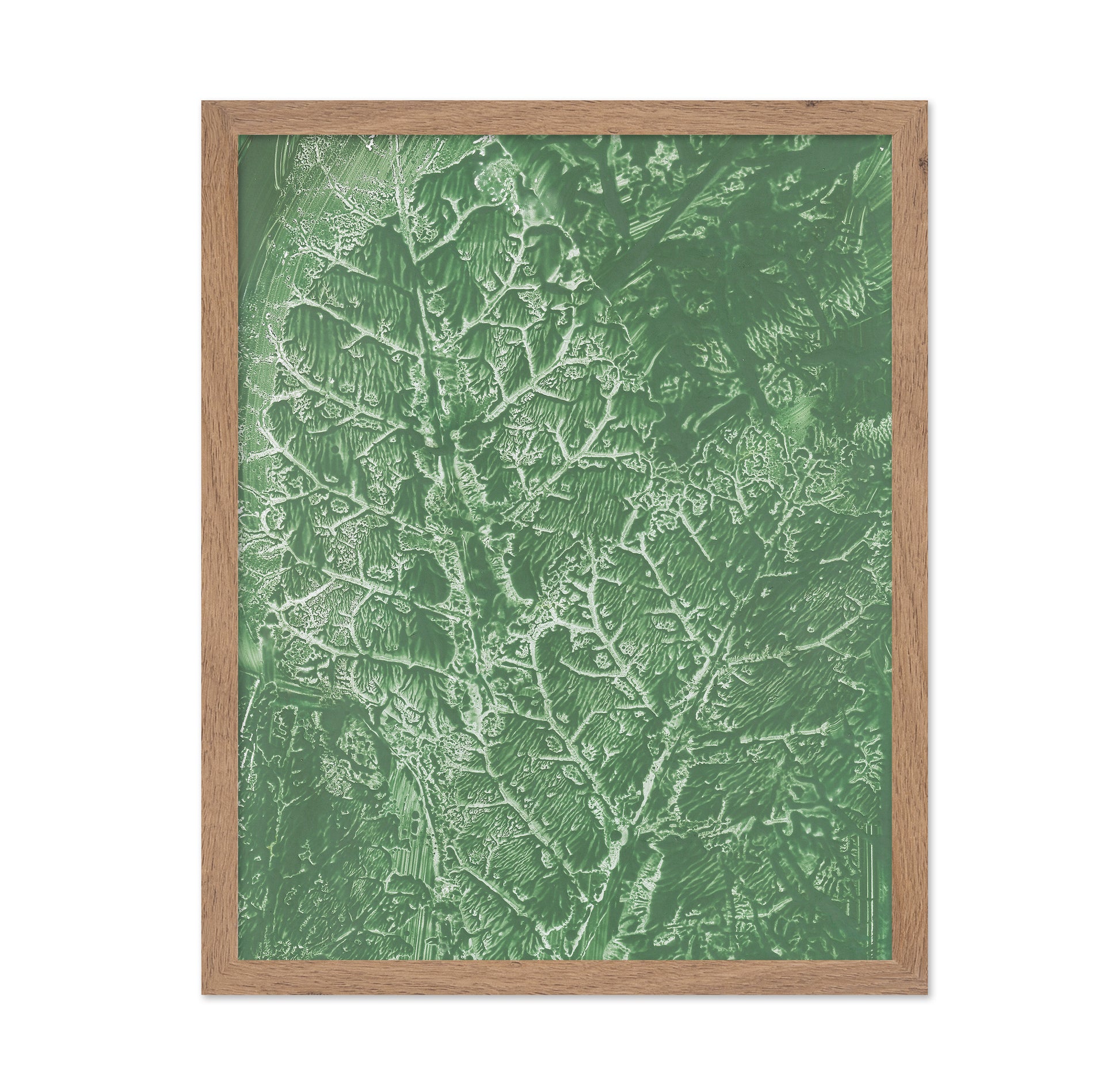 Green Vein Texture