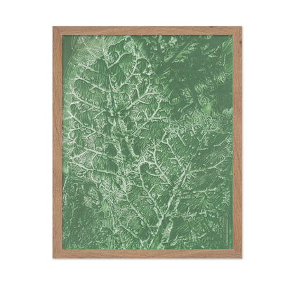 Green Vein Texture
