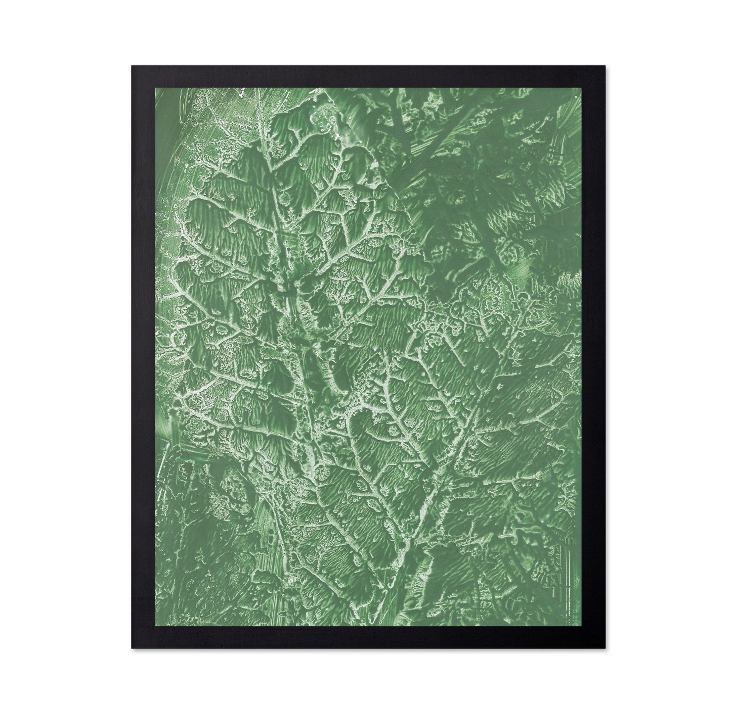 Green Vein Texture