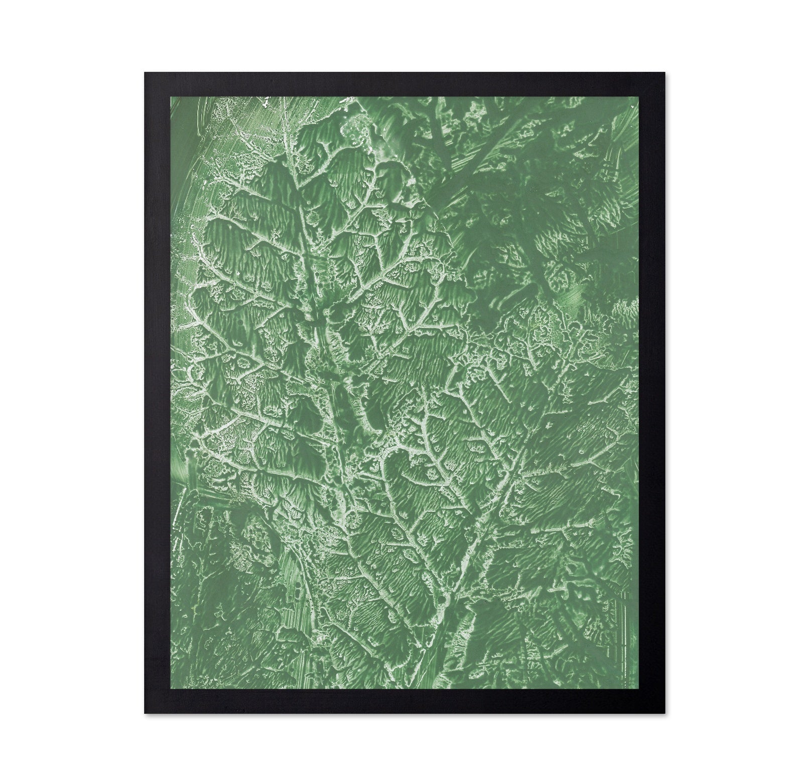 Green Vein Texture