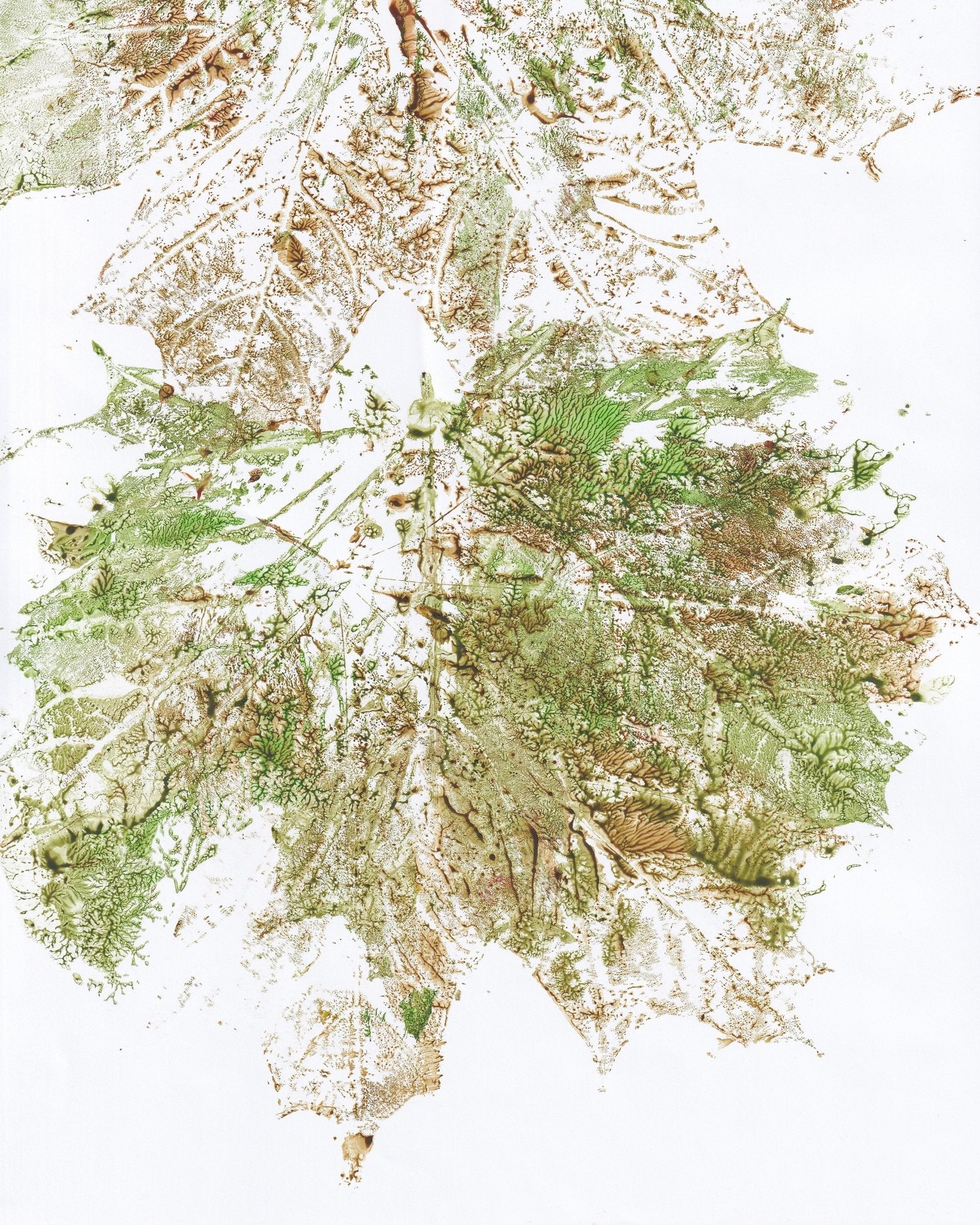 Maple Vein Burst