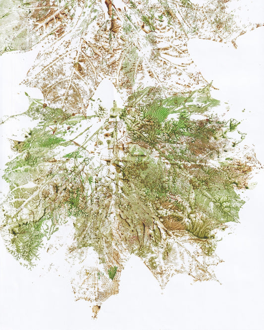 Maple Vein Burst