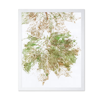 Maple Vein Burst