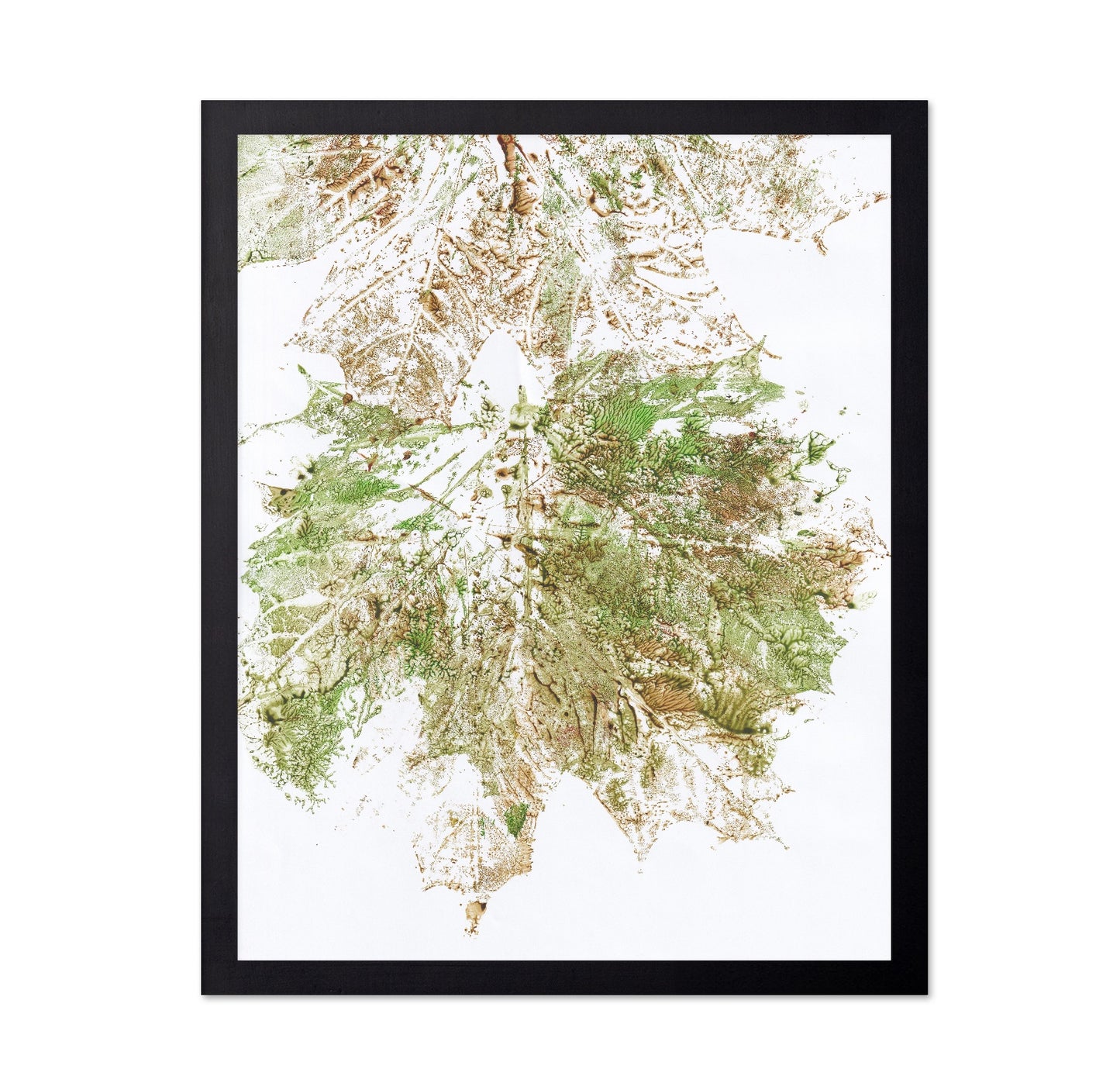 Maple Vein Burst
