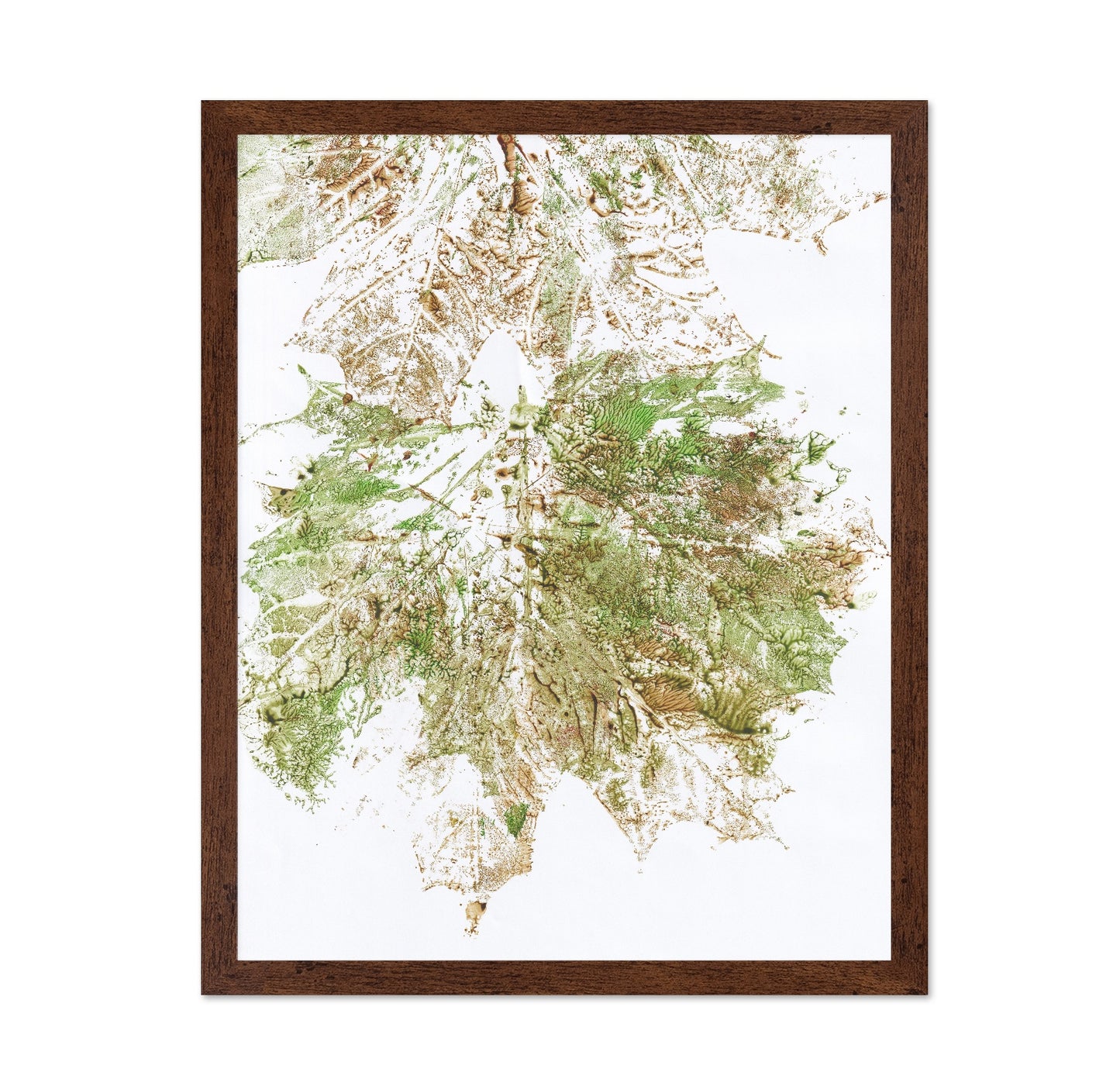 Maple Vein Burst