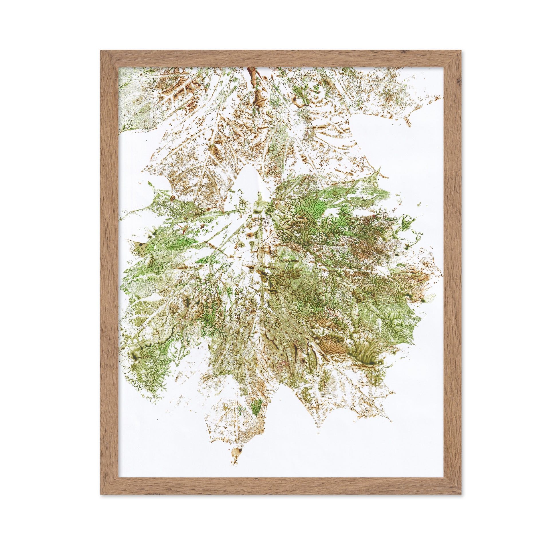 Maple Vein Burst