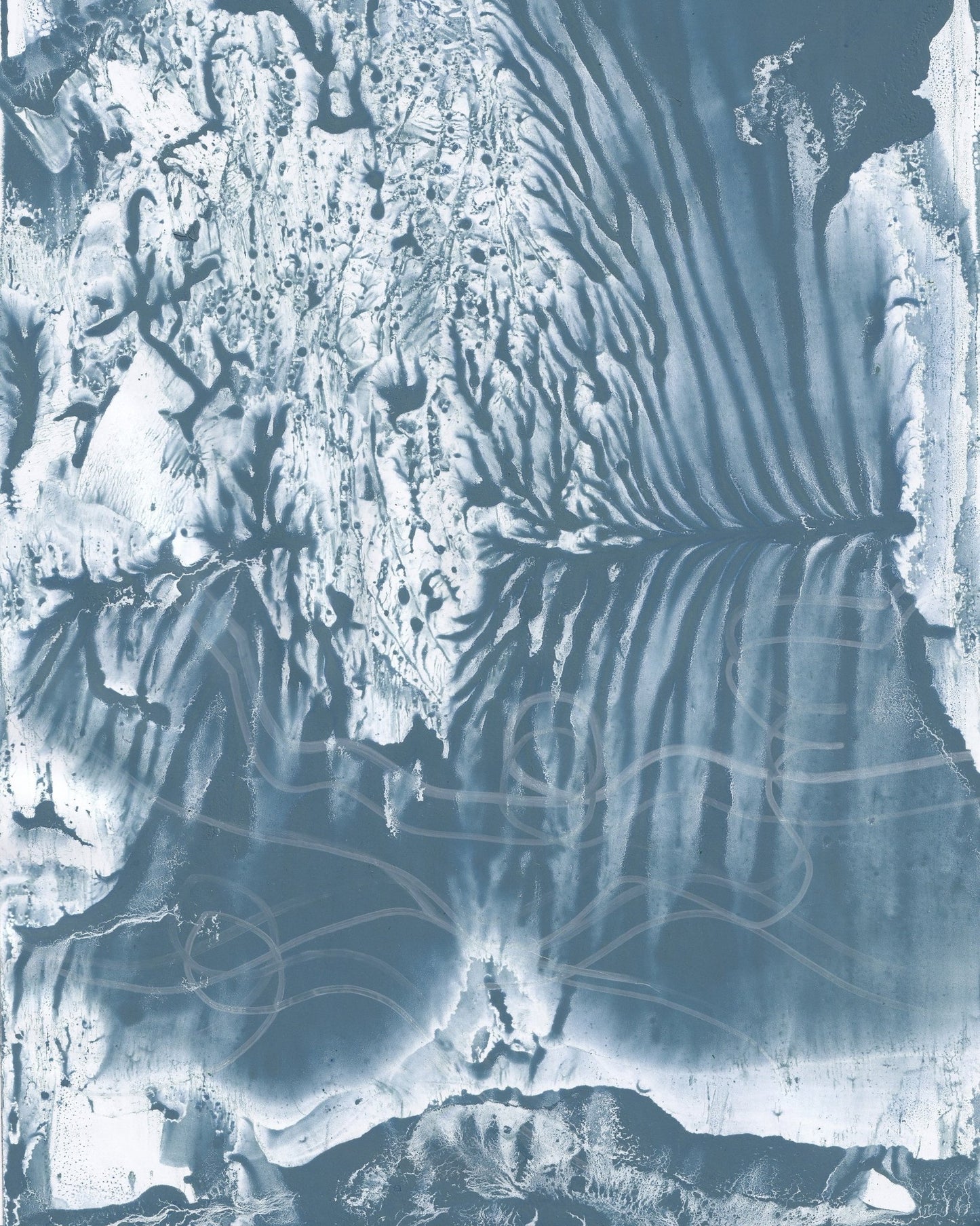 Blue Vein Flow