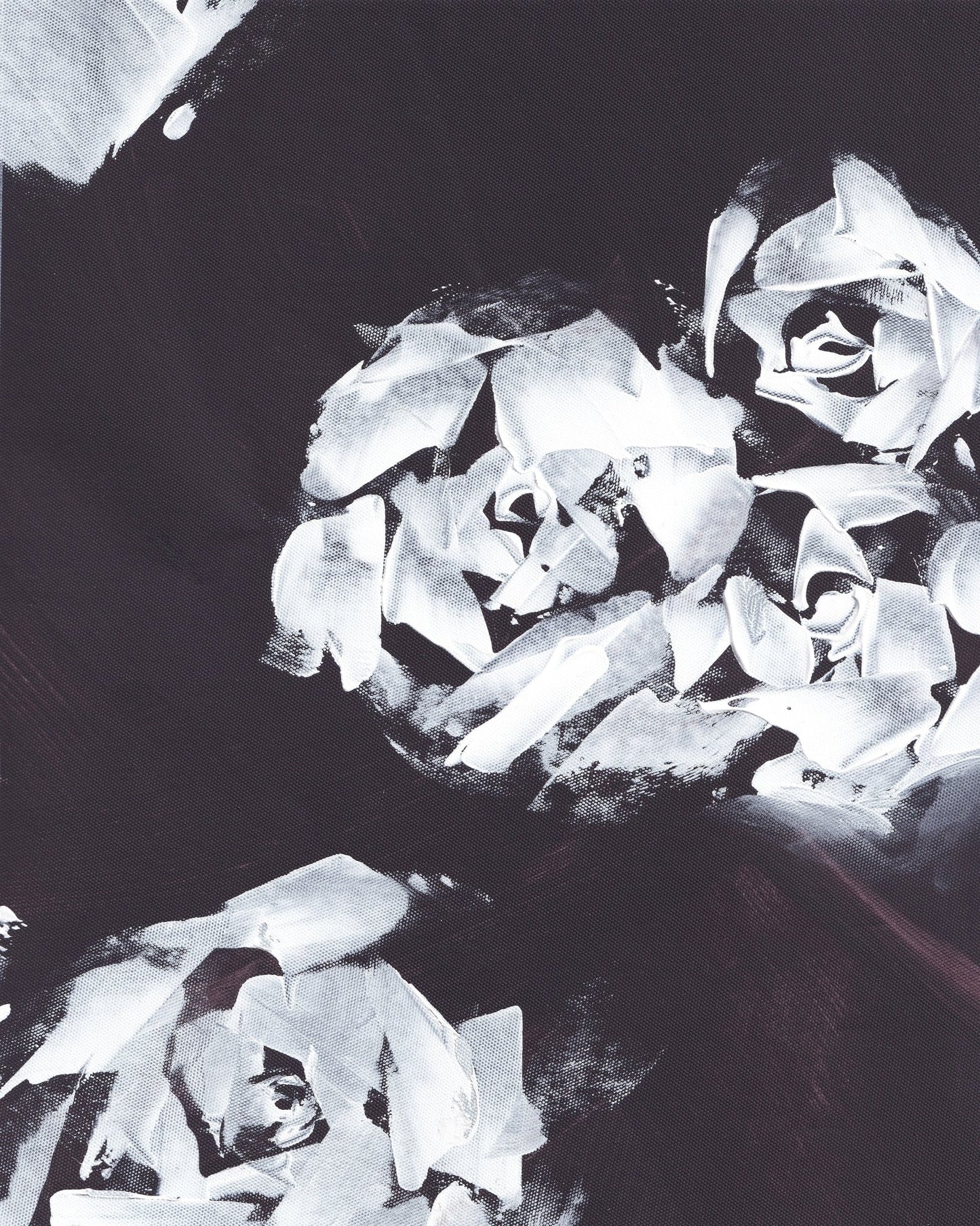 Monochrome Roses