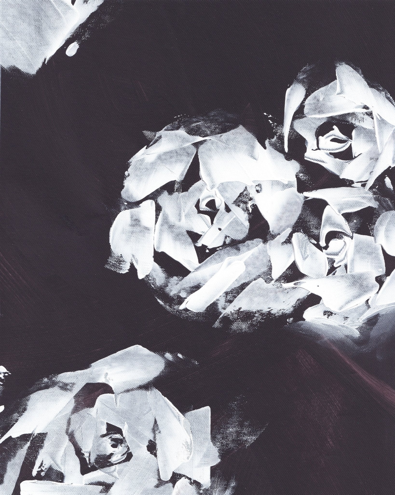 Monochrome Roses