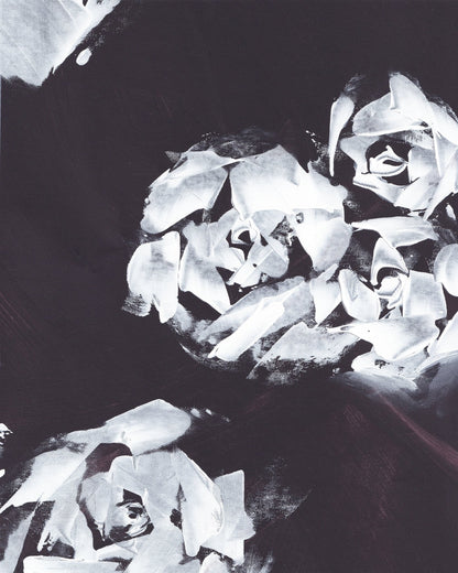 Monochrome Roses