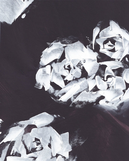 Monochrome Roses