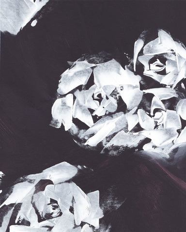 Monochrome Roses