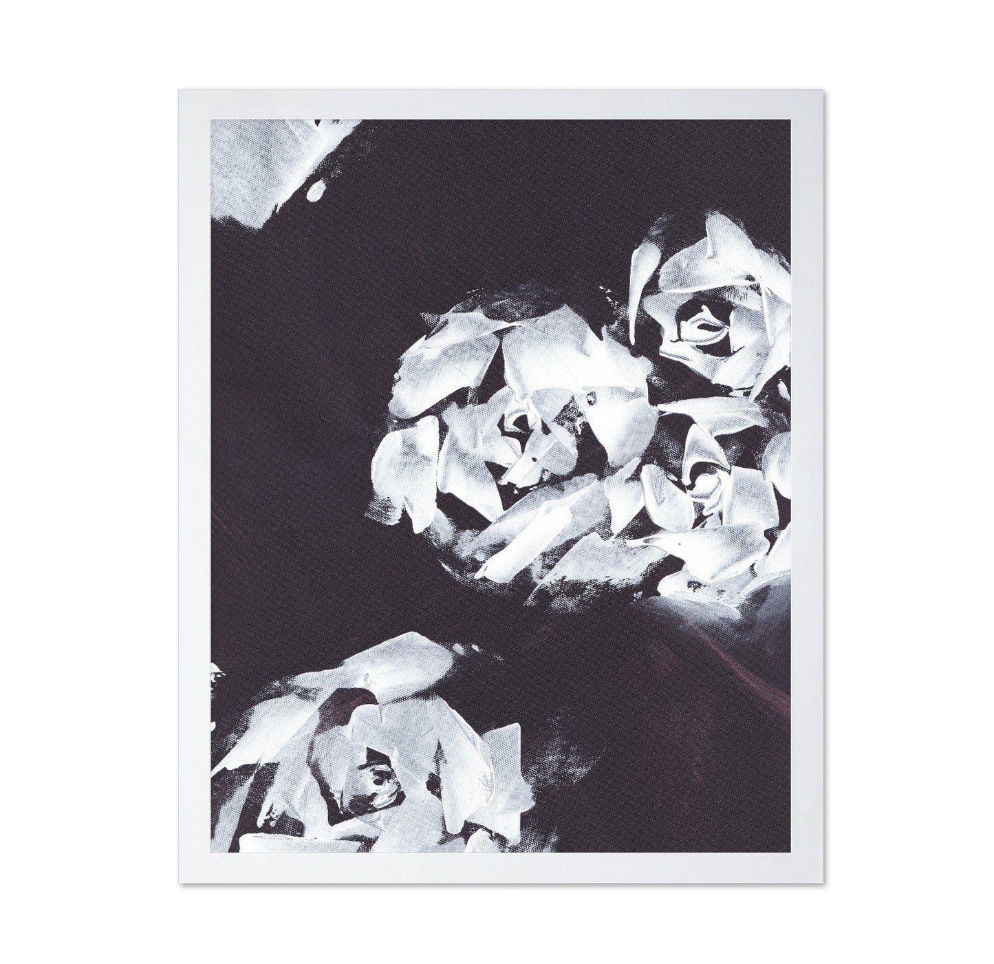 Monochrome Roses