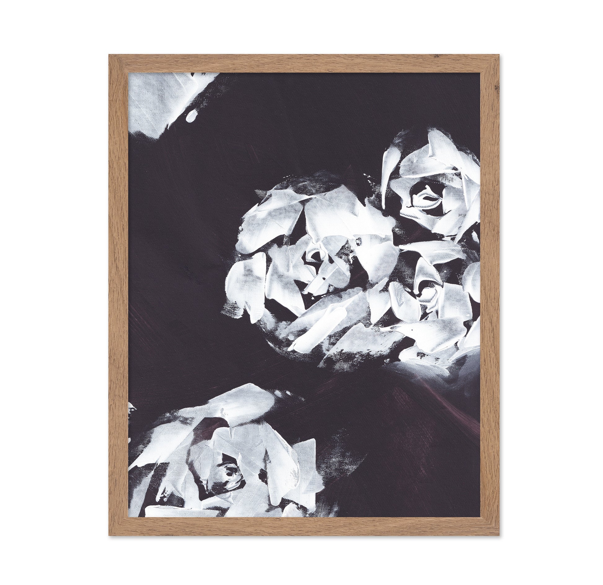 Monochrome Roses