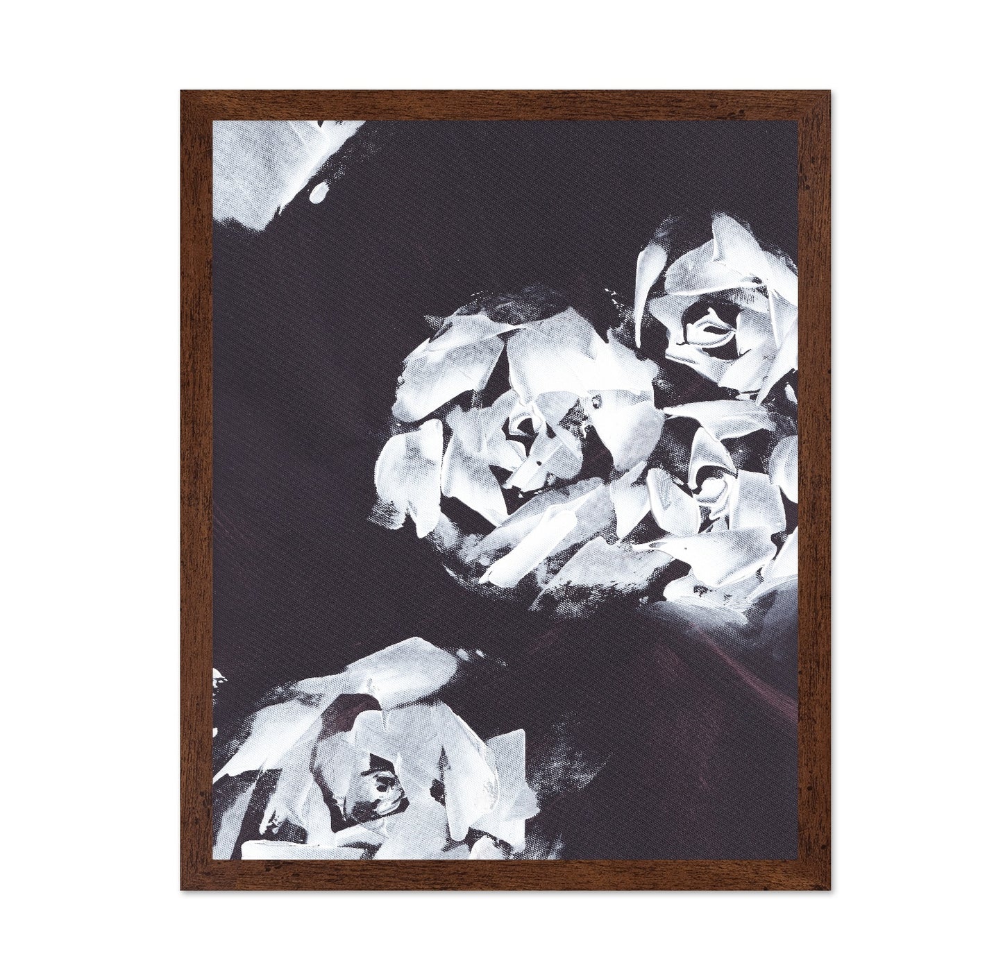 Monochrome Roses