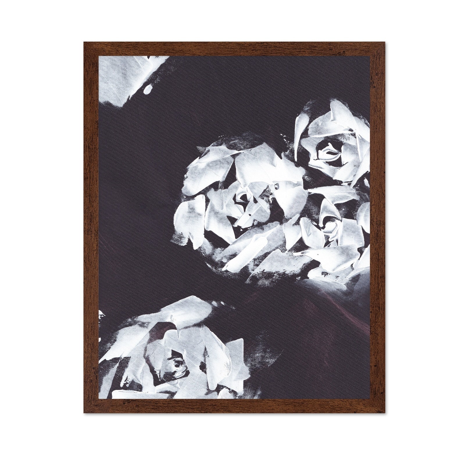 Monochrome Roses