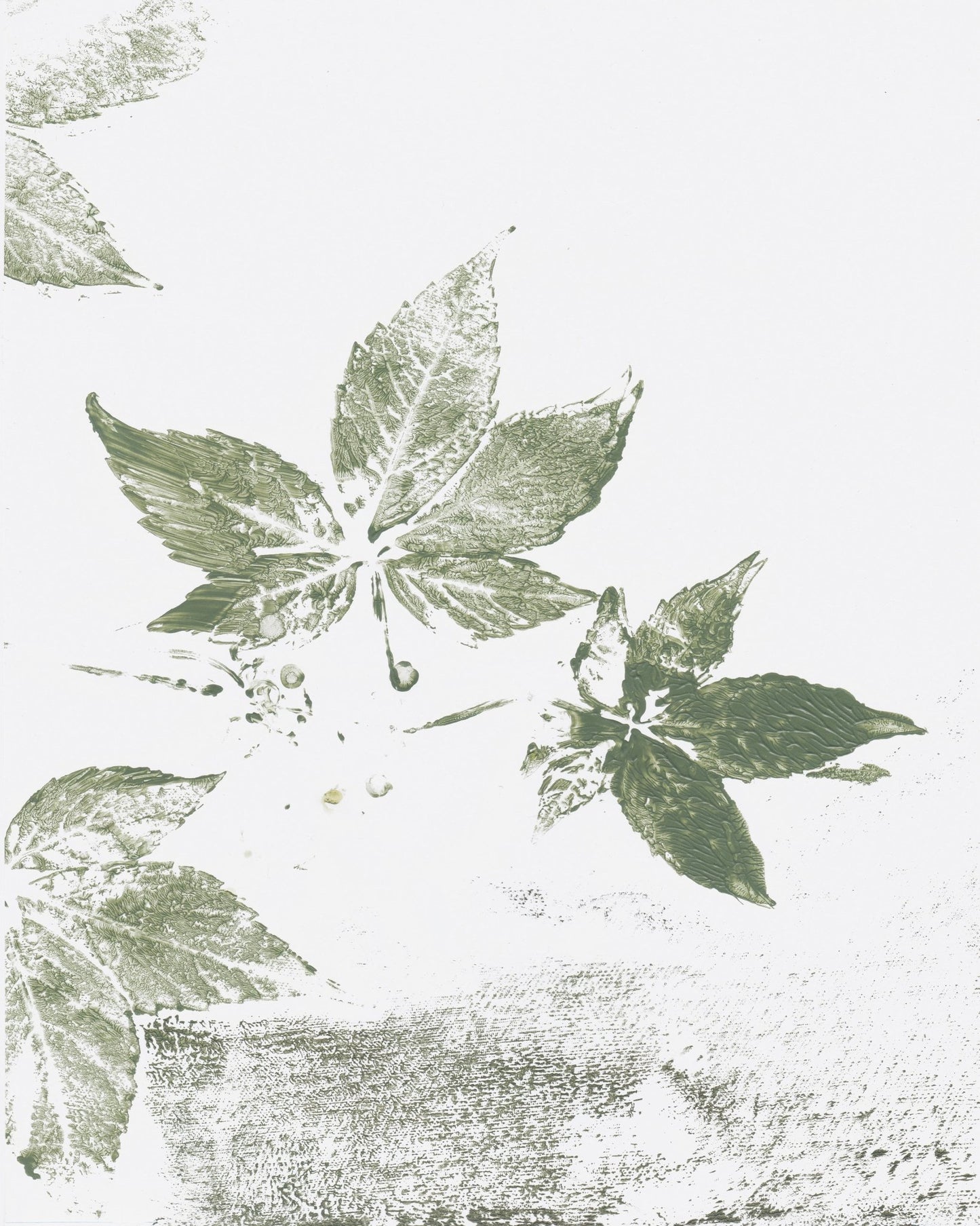 Leaf Print Marks