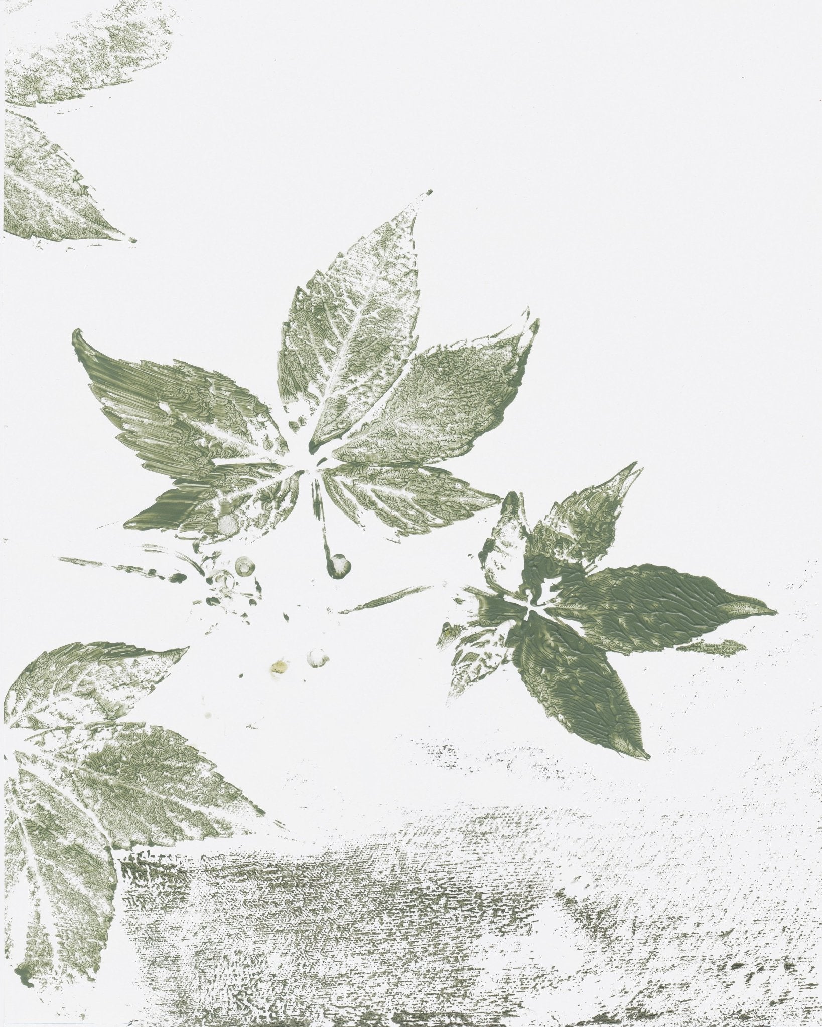 Leaf Print Marks