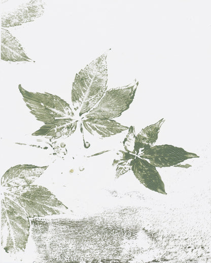 Leaf Print Marks