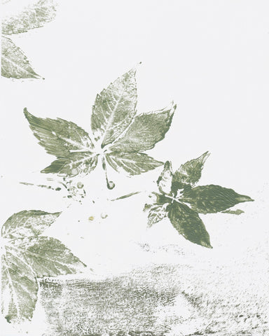 Leaf Print Marks