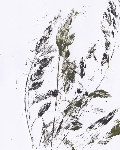 Ink Botanical Lines