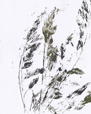 Ink Botanical Lines