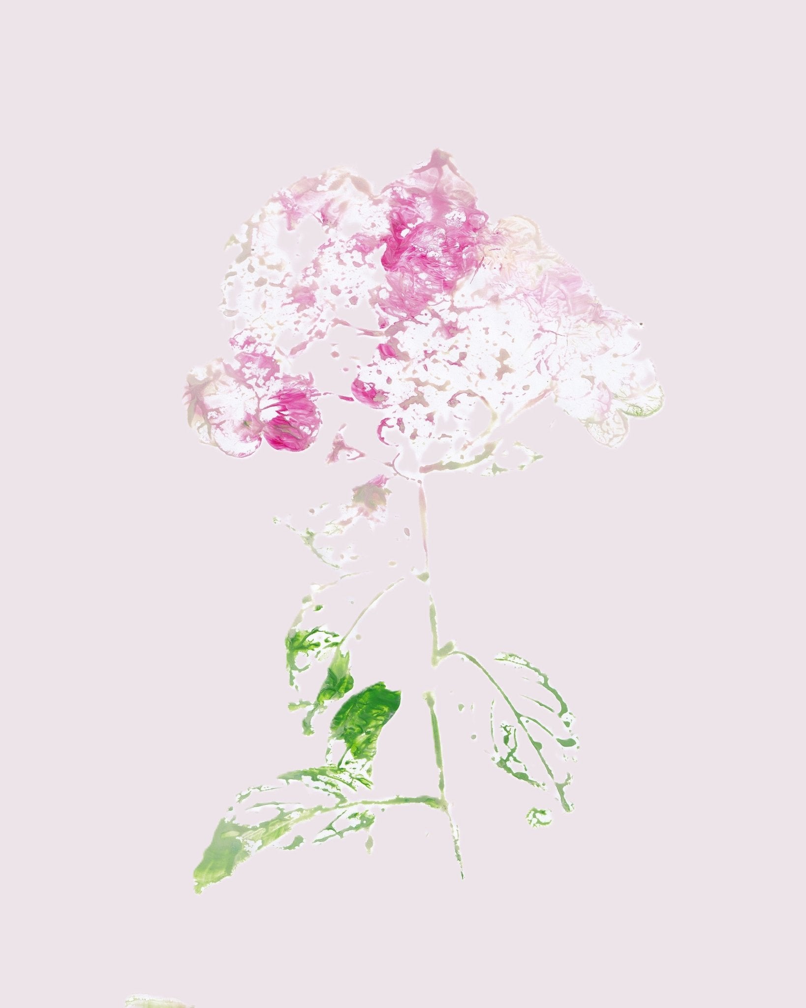 Pink Floral Impression