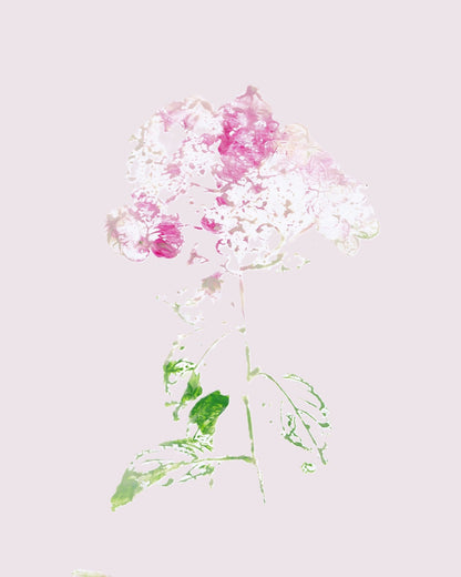 Pink Floral Impression