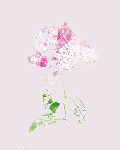 Pink Floral Impression