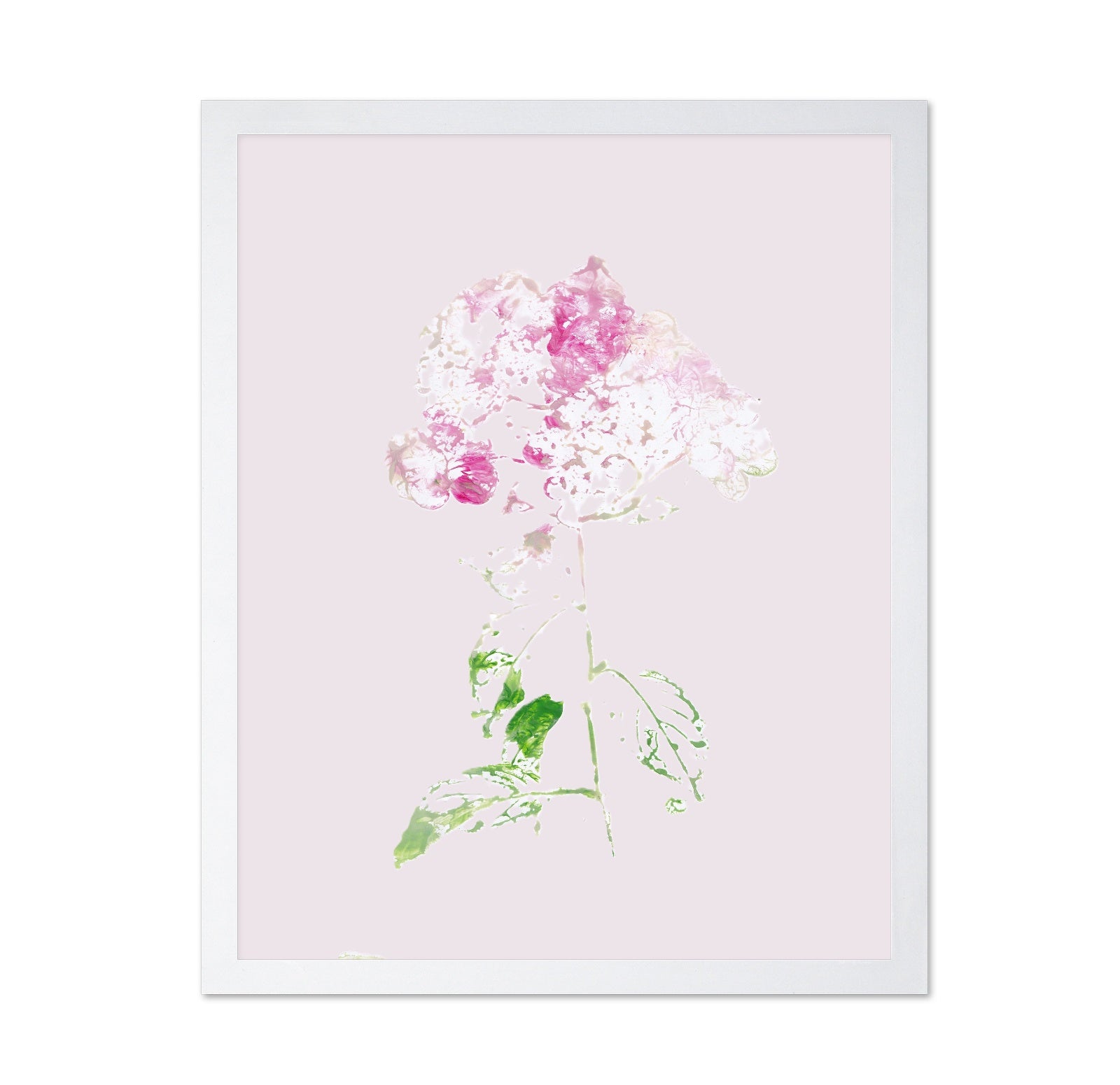 Pink Floral Impression