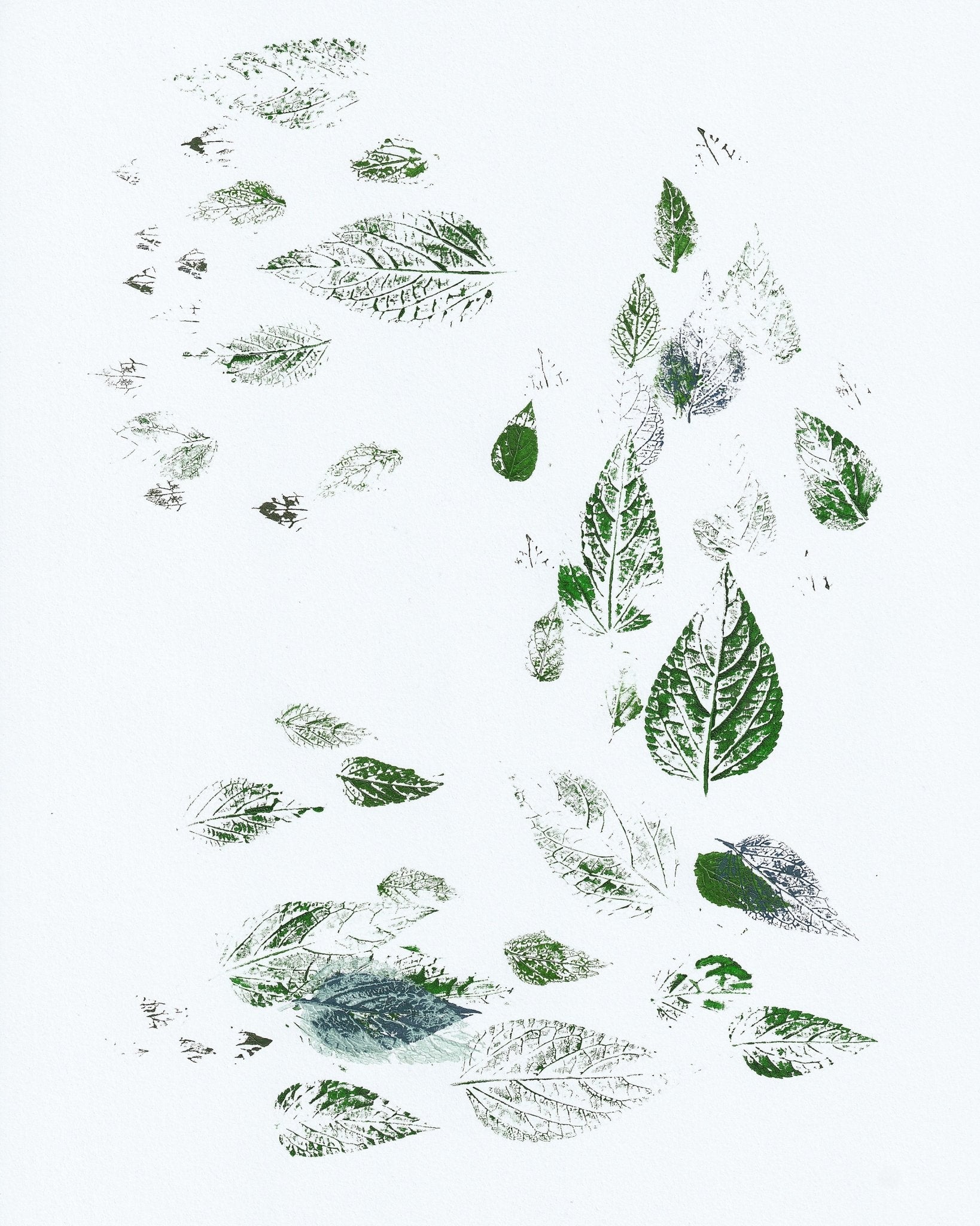 Scattered Leaf Prints