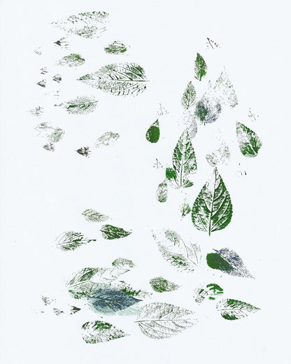 Scattered Leaf Prints