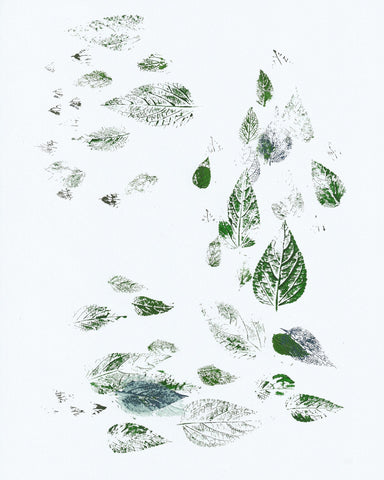 Scattered Leaf Prints