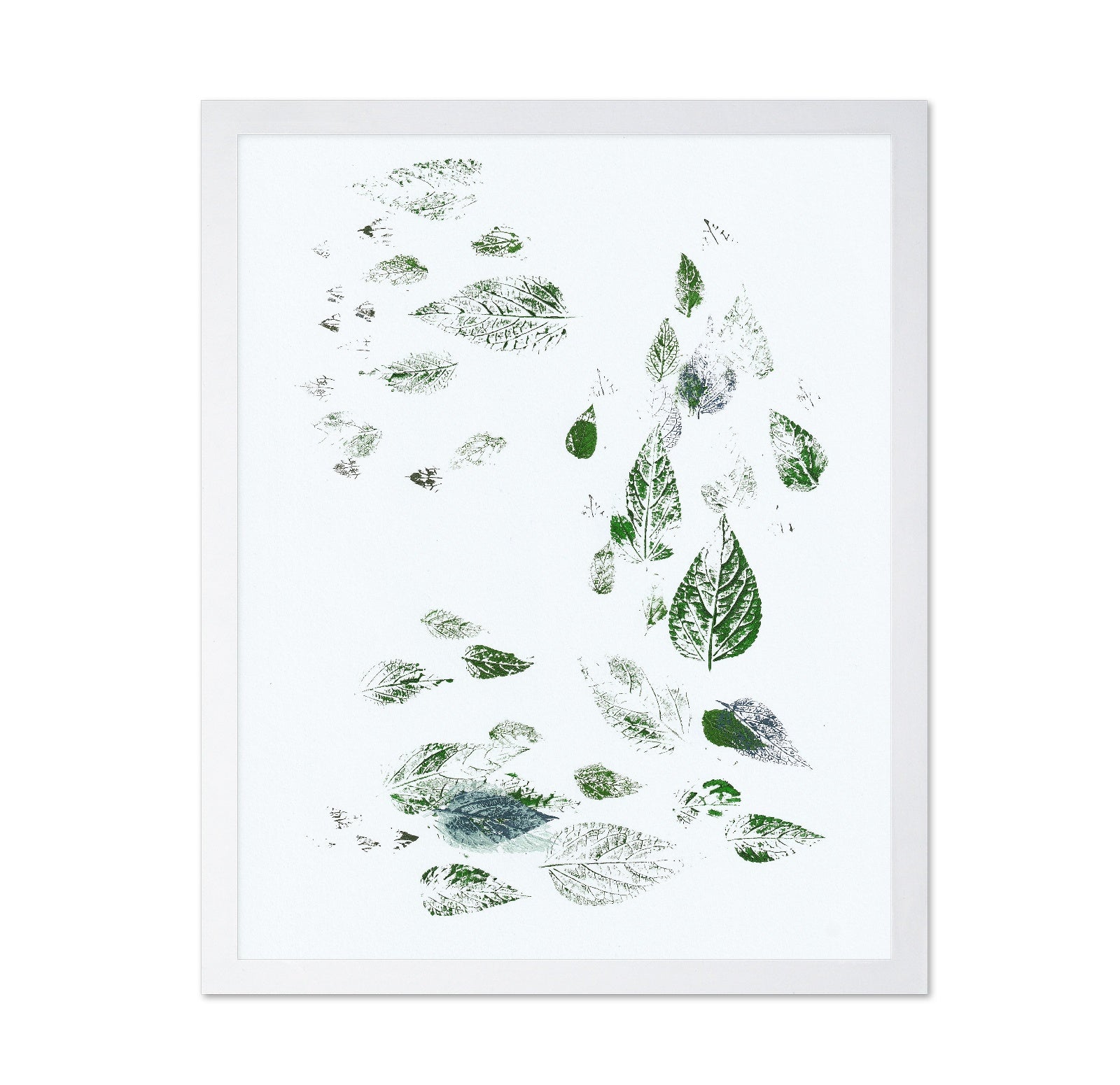 Scattered Leaf Prints