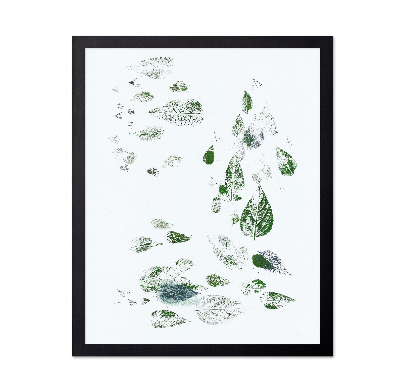 Scattered Leaf Prints