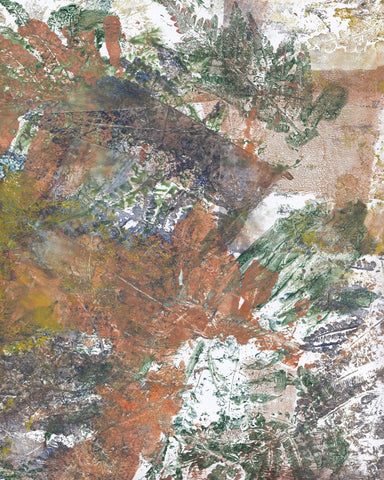 Forest Texture Blend