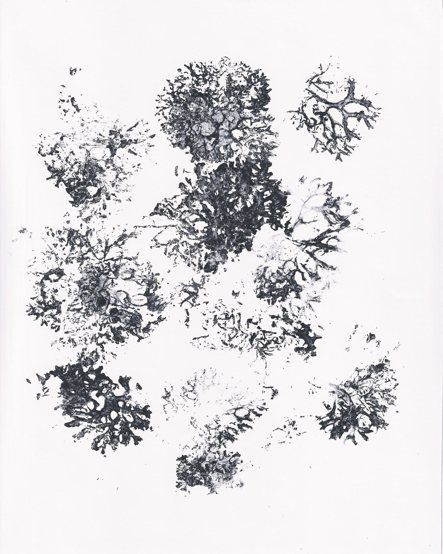 Ink Plant Forms