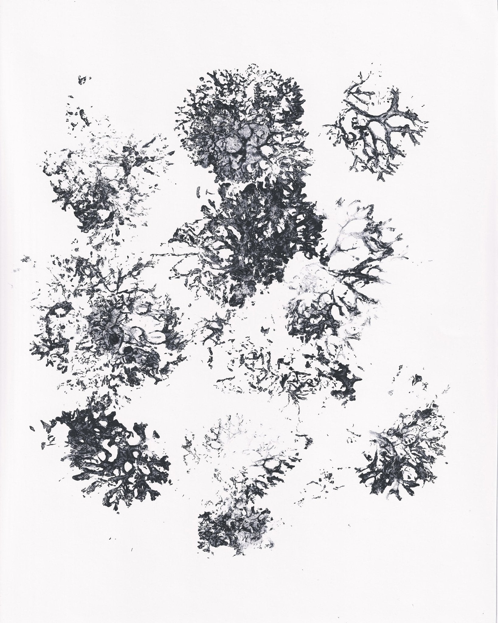 Ink Plant Forms