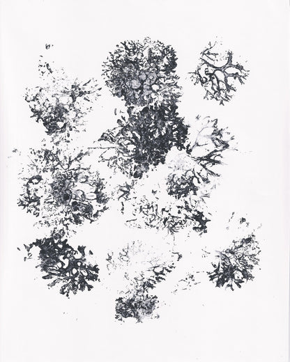 Ink Plant Forms