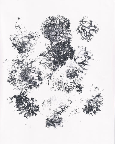 Ink Plant Forms