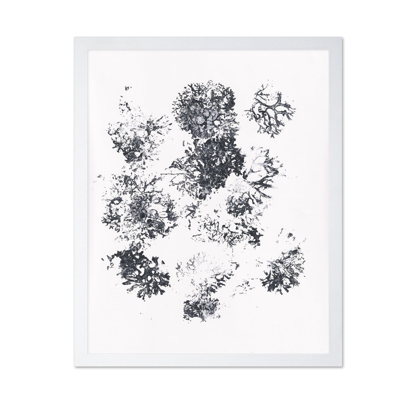 Ink Plant Forms