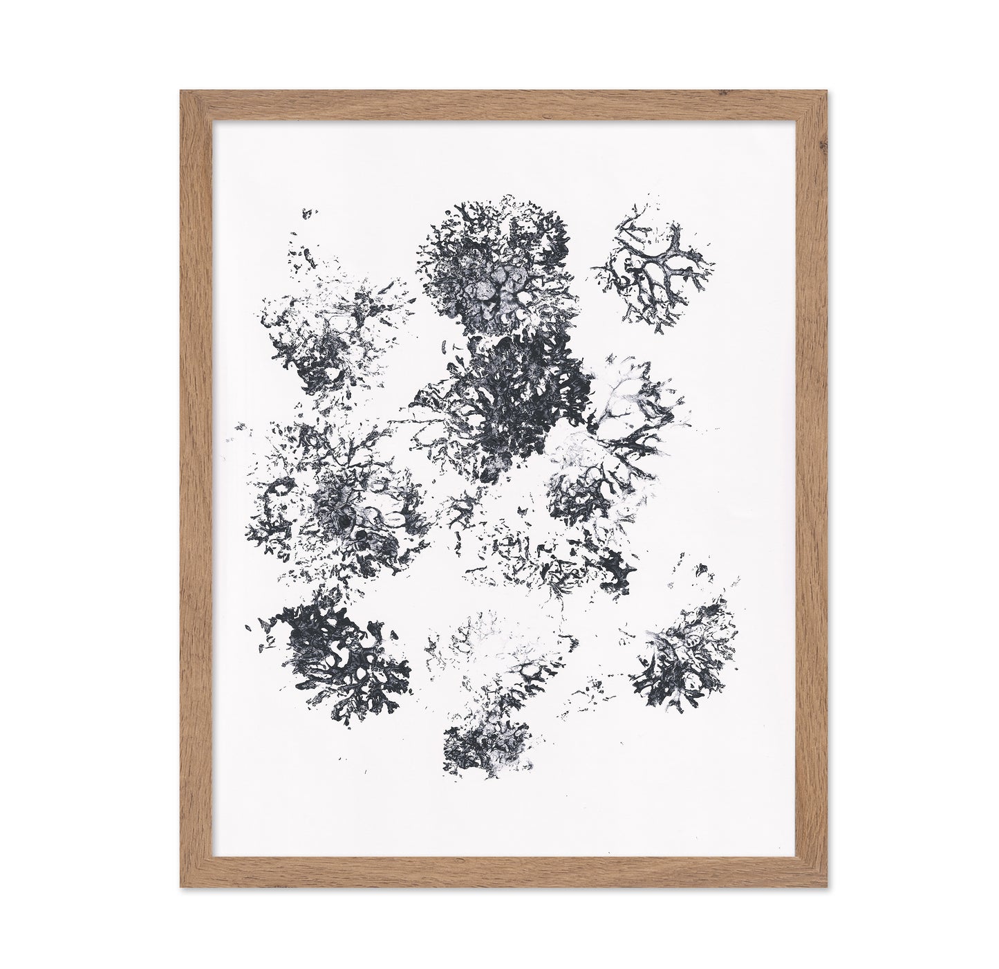 Ink Plant Forms