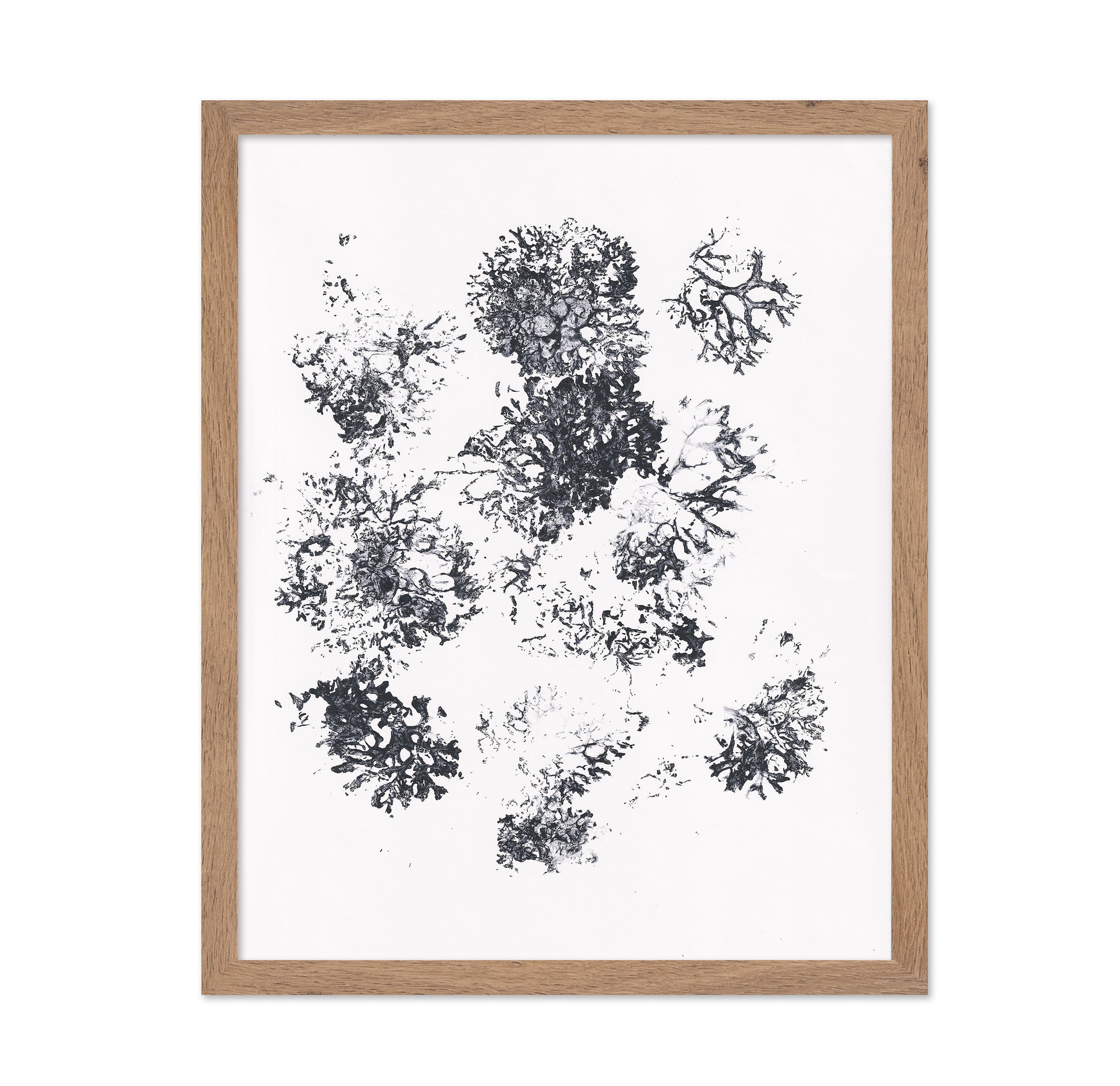 Ink Plant Forms