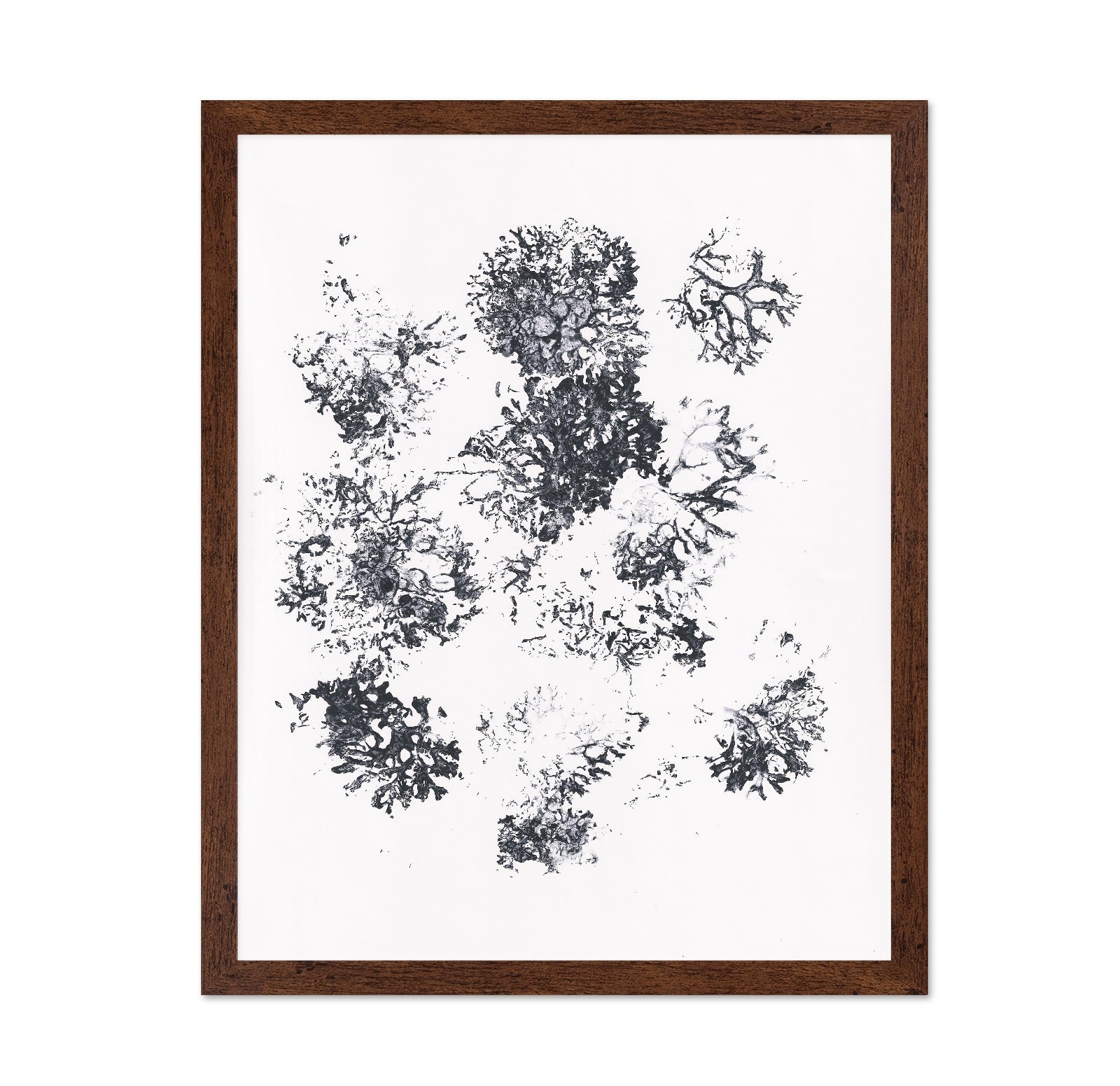 Ink Plant Forms