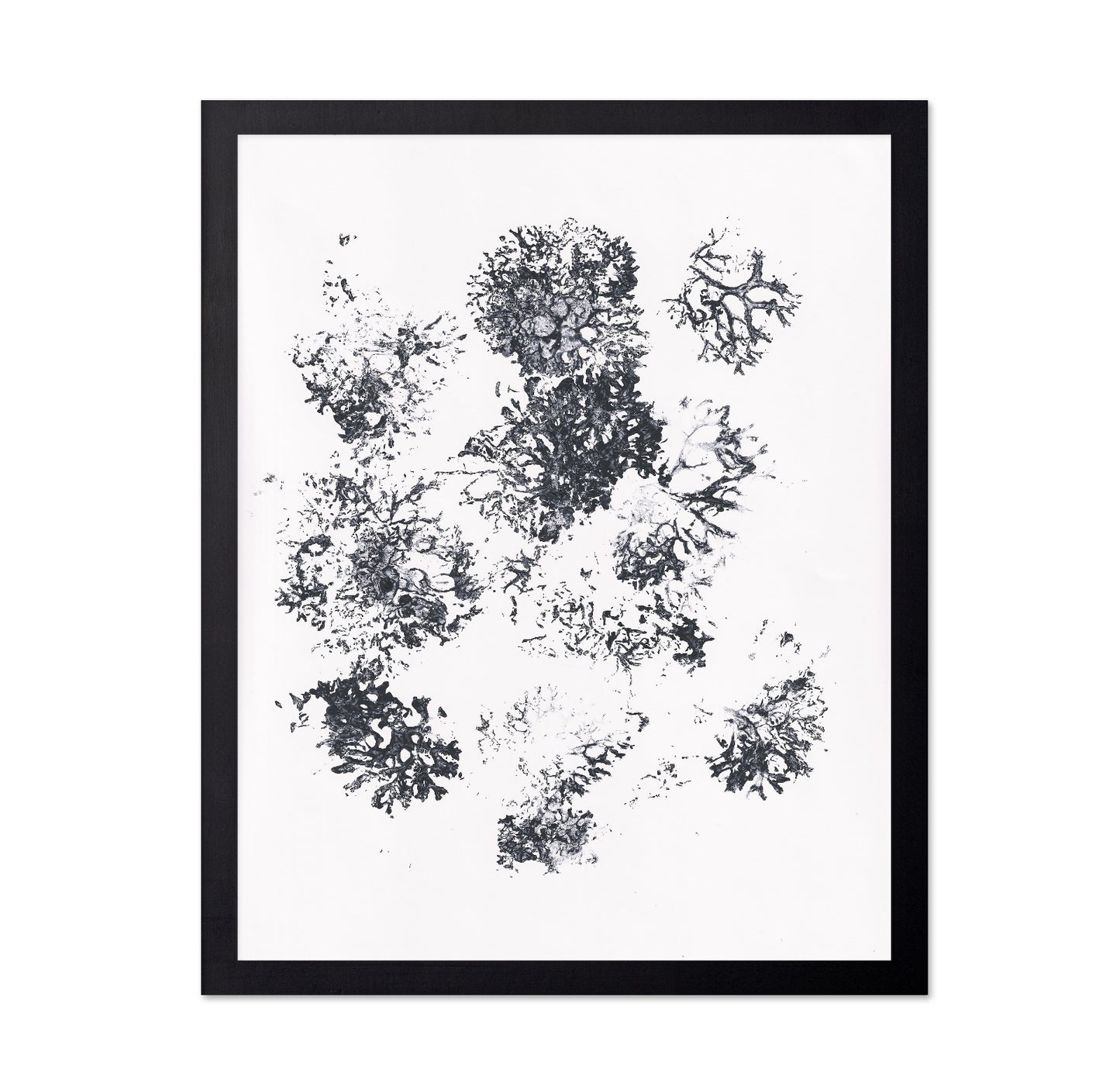 Ink Plant Forms