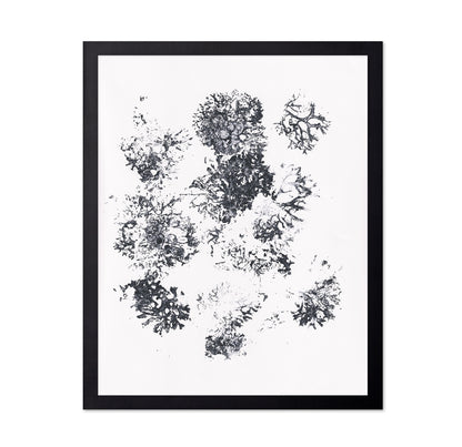 Ink Plant Forms