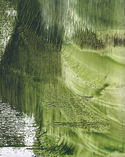 Green Forest Texture