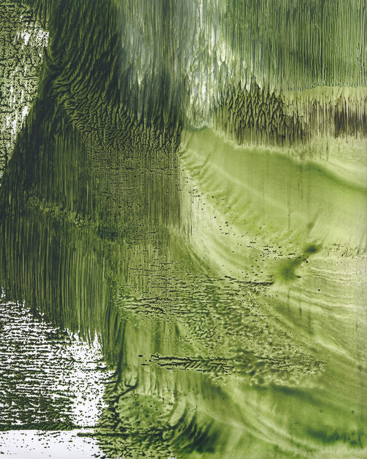Green Forest Texture