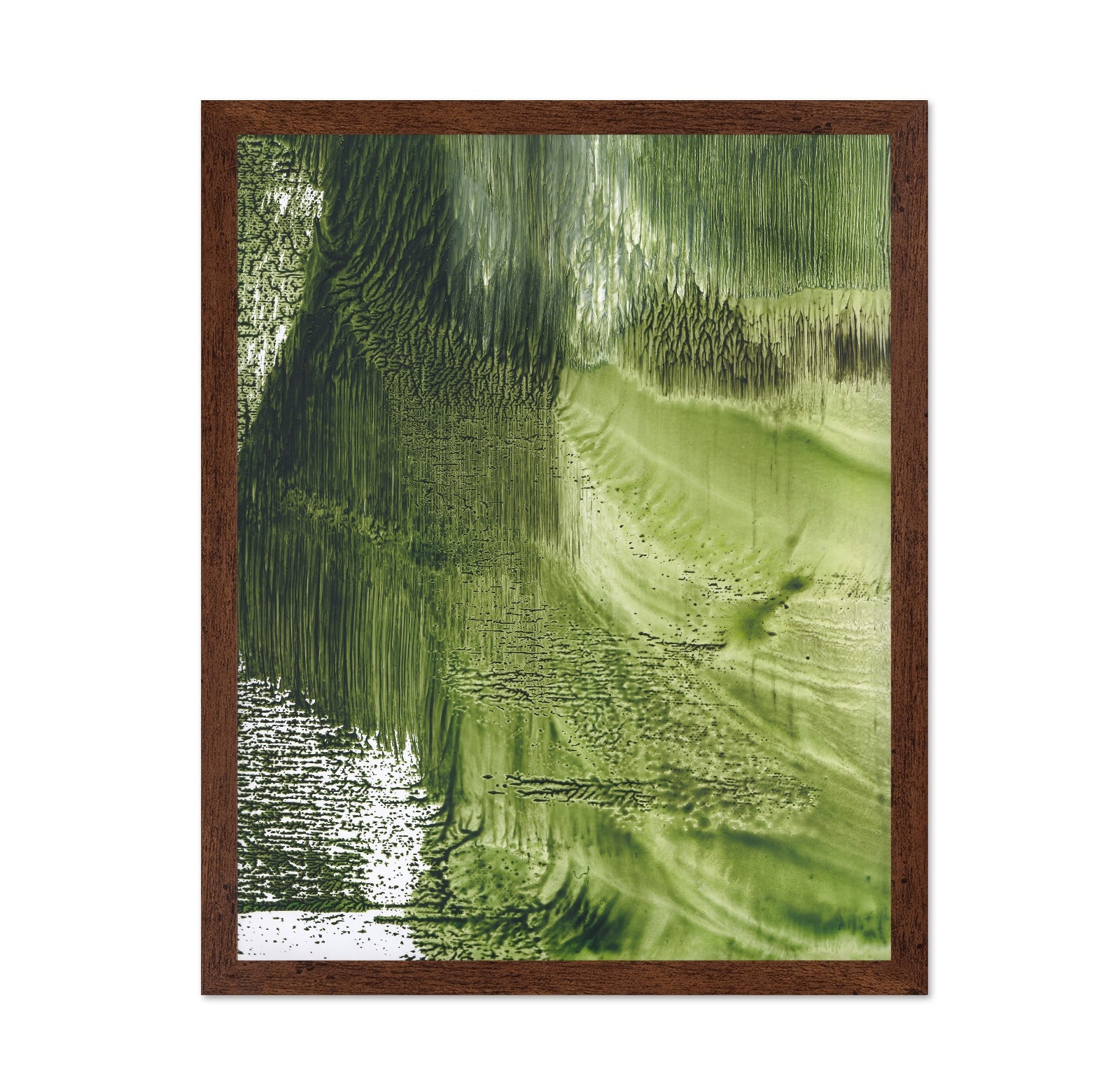 Green Forest Texture